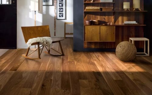 Ablux orex Amerikanskii