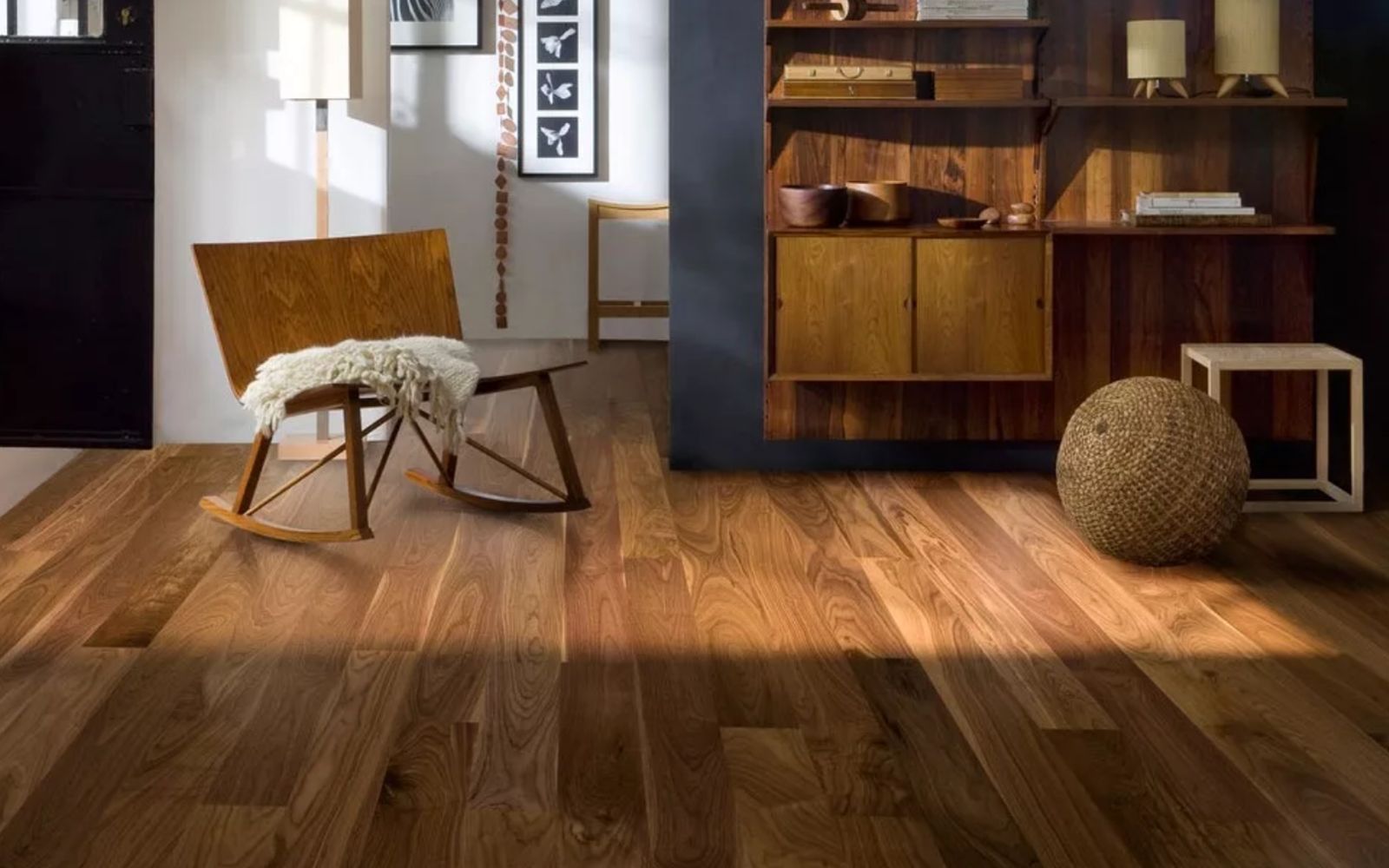 Ablux orex Amerikanskii