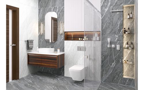 Alma ceramica Nextone