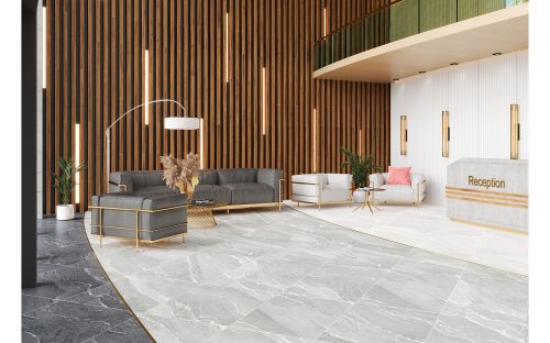 Alma ceramica Nextone