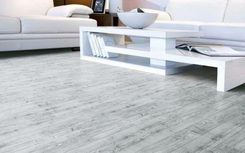 Classen Freedom 4v WR