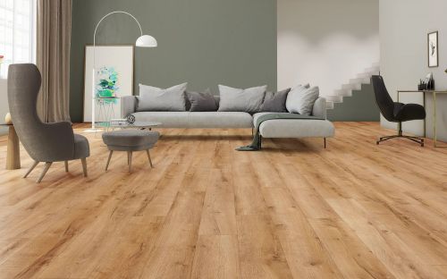 Classen Adventure WR