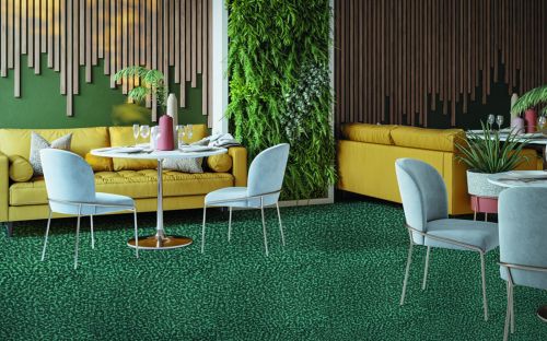 Нева Тафт Arena