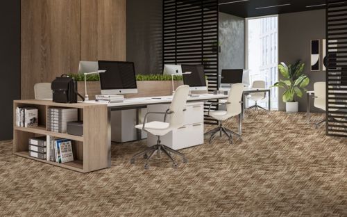 Нева Тафт Коко