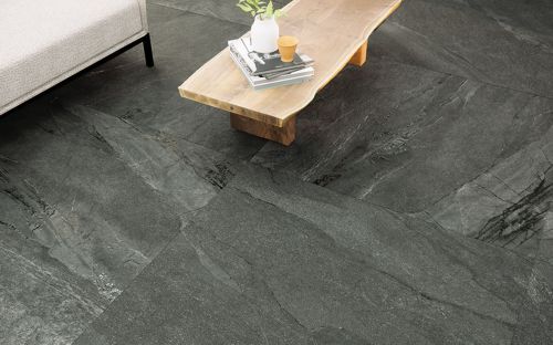 Prissmacer Lab Halley