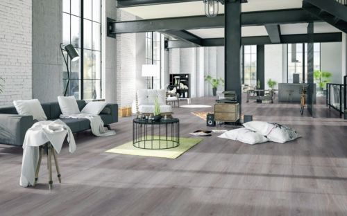 Swiss krono Noblesse