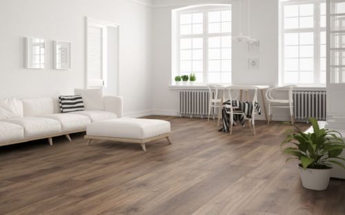 Swiss krono Noblesse Large