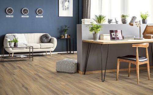 Taiga Sibirskaya kollekcziya